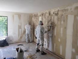 Environmental Consulting for Mold Prevention in Soquel, CA